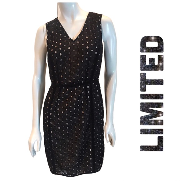 The Limited Dresses & Skirts - Women’s Limited Dress 🌸🌸 2 / $5